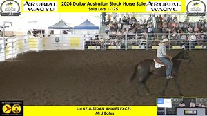 𝟐𝟎𝟐𝟒 DDalby Australian Stock Horse Sale𝐭𝐨𝐩 𝐬𝐞𝐥𝐥𝐞𝐫 𝐛𝐲 Wallabah Excel: 🟡 LOT 67 - JUSTDAN ANNIES EXCEL Price: $48,000 Vendor: Mr J Bates Buyer: Burbank Performance Horses, Peranga QLD 👉 www.wallabahexcel.com.au YYalatta Park Performance Horses#DalbyStockHorseSale #DalbyAustralianStockHorseSale #StockHorse #FiftyYears #RayWhiteLivestock 🎥 JJoe McInally Livestreaming | Select Sires