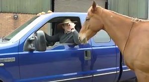 Trailer loading can be a real problem for people. For tips on trailer loading as well as a whole host of other exercises and information make sure you subscribe to my youtube channel. We are revamping and adding lots of new content over the next few days so don't miss out. https://www.youtube.com/channel/UCxGZimoCv5pInoZupuDfEFQ… | Guy Robertson Horsemanship