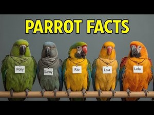 7 Things You Didn't Know About Parrots