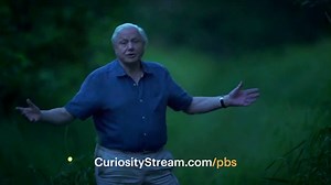 CuriosityStream TV Spot, 'PBS: Long Live the Curious'