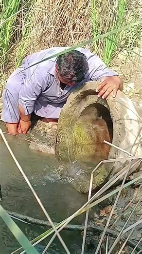 Exploring Fish Eggs: A Detailed Look