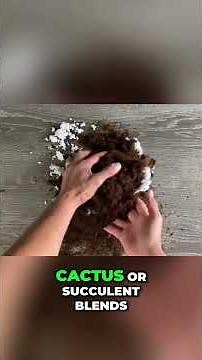 ZZ Plant Care: The ULTIMATE Guide for Beginners #shorts