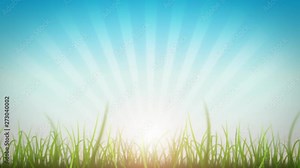 Grass Leaves On Beautiful Sky Background Loop/ 4k animation of a loopable beautiful nature background with blades of grass moving with the wind and lens flare for shining sun effect