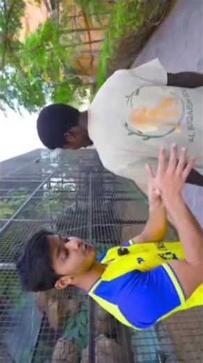 दुनिया के सबसे खरनाक जानवर 💀#trending #viralvideo #shorts