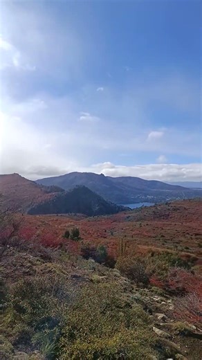 Autumn Forest Walk in Patagonia 🍂 Trail to Refugio Frey