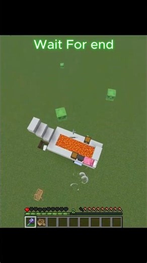 IS THIS MINECRAFT BOAT 100% LAVA PROOF?! 🤯 (Don't Try This)