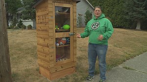 'Little Free Sports Library' brings West Seattle families together