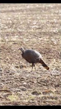 little bit of afternoon conversation!