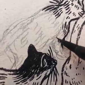 2.2K views · 221 reactions | It’s January. How’s your resolution...