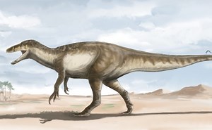 Paleontólogos argentinos descubren el dinosaurio raptor más grande hallado hasta el momento
