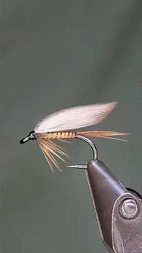 Ginger Quill