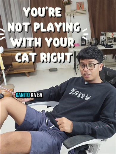 Step-by-Step Guide to Playing with Your Cats