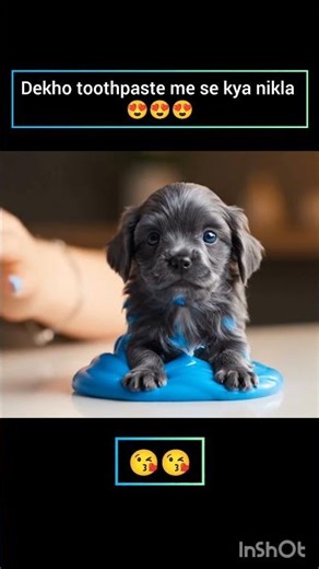 “जब Toothpaste में से निकला Dog और Panda! 😱🐶🐼 | Magic Experiment Gone Funny”