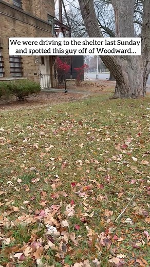 🚨 JUST RESCUED — SMALL DOG SURVIVING ALONE OFF WOODWARD FOR A YEAR 🚨 Last Sunday, while driving back to the shelter, we spotted what looked like a small animal dart across Woodward. We circled back — first thinking it was a cat — but when we looped around again, the dog revealed himself. We pulled over and found his “spot”… a makeshift setup someone had created for him: a wooden board, a rubber tub, bowls, and hay — all sitting openly off one of Detroit’s busiest roads. It was clear he had bee