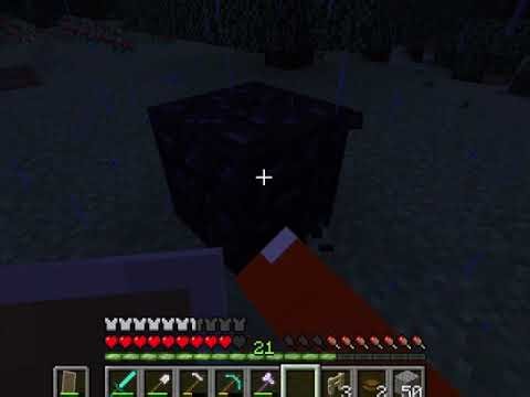 how to place down a birch fence tutorial