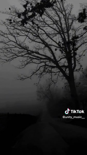 Exploring Solitude in Nature Through Black and White Clips