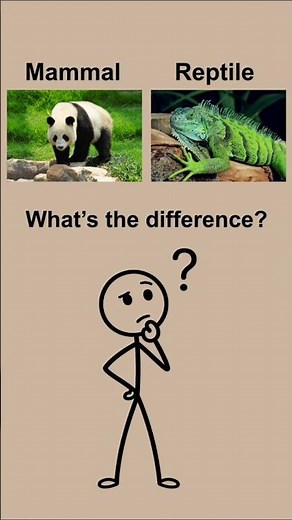 Mammals vs Reptiles 🐾🦎 | What’s the Difference?
