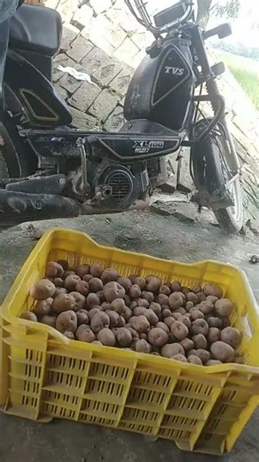 5 सितंबर 2025