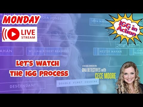 Idaho 4 | IGG: Solving Crimes or Creating New Questions? #idaho4 #bryankohberger #igg/