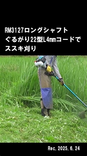 Mowing Japanese silver grass with the RM3127 Long Shaft and Gurugari 22L #nyloncutter #shorts