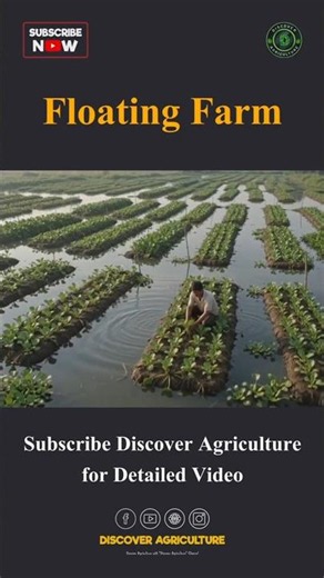 Amazing Floating Farm