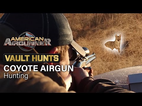 Airgun COYOTE Hunting | VAULT HUNTS