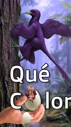 ¿Qué color tenían los dinosaurios? 🦖🏳️‍🌈 #dinosaurios #jurassicworld #paleontologia