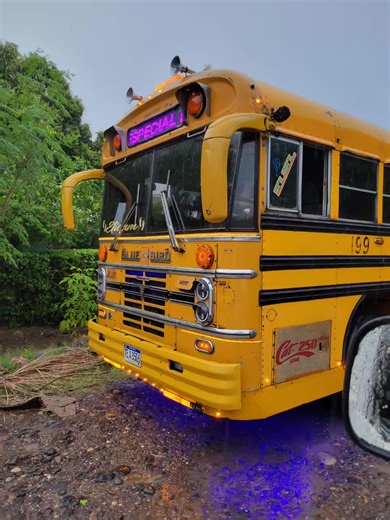 Understanding the Cat 3208 Engine: Insights and Tips