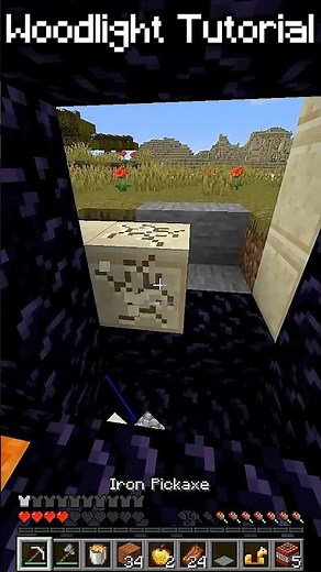 How to light a nether portal with only wood in #minecraft #tutorial #speedrunning #mcsr