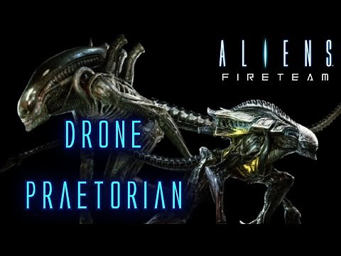 Aliens Fireteam Drone and Praetorian Xenomorph / A Closer Look