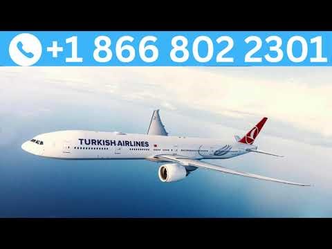 Turkish Airlines Customer Service | Easy Guide to 24/7 Contact Channels