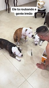 5.5M views · 87K reactions | Maria Isabel on Reels | Facebook