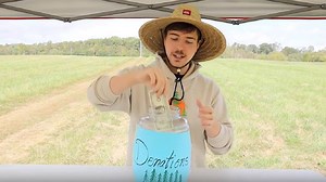 Team Trees: YouTube star MrBeast launches campaign to plant 20 million trees, Tobi Lutke, Susan Wojcicki, Elon Musk, Jack Dorsey donate