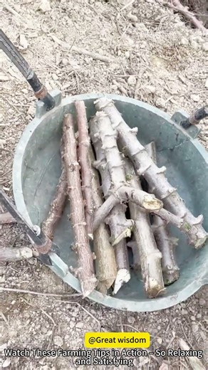 Simple Farming Tips to Make Your Work Easier and More Efficient