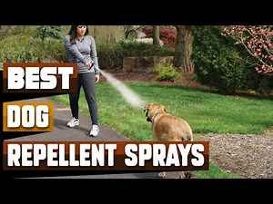 Best Dog Repellent Spray In 2026 - Top 10 Dog Repellent Sprays Review