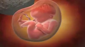 566K views · 8.3K reactions | Quieres Saber Como Va Creciendo Tu Bebé...