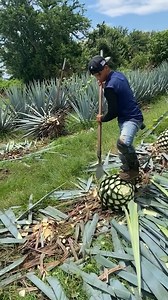 4.9M views · 8.6K reactions | Great daily working skills and creative ideas Watch more: https://www.facebook.com/groups/148320598151013 | Katarina Van Derham Page | Facebook