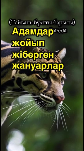 Адамдар жойып жіберген жануарлар. #рекомендации #animals #viral #tarih | recently extinct animals