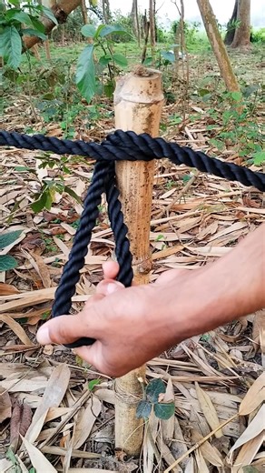 Master This Constrictor Knot Easily!