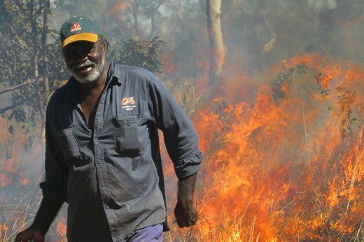 Introduced Species to Australia