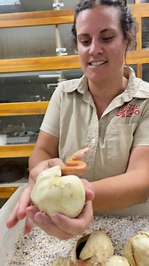 Helping baby Snakes hatch! 🐣 This is definitely one of my favorites parts of working with these guys🥰. Baby reticulated pythons are born already about a foot long! 😱 I guess the world‘s biggest snake would produce some very big babies!! 🐍 I hope everyone is having a great Sunday! And had a great weekend 😁👍 • • • • • • • #beautiful #little #baby #python #snake #wild #widlife #cute #babies #snakes #reptile #style #cool #video #moments #wow #cuties #amazing #animals #reels #reelitfeelit #reel