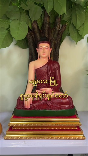 #စူဠာမုနိရုပ်ရှင်တော်မြတ်ကြီး ရဲ့ရောင်တော်ပါတဲ့အနေအထားနဲ့ custom order လေးပါဗျ#ဘုရား #ဗုဒ္ဓ #buddha #ဆင်းတုတော်