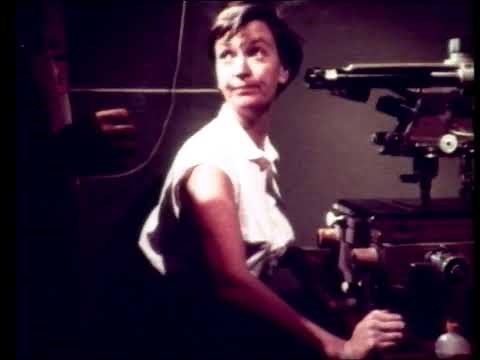 1959 CERN Particle Physics Film Featuring Niels Bohr, Heisenberg, de Broglie, Cockroft et al