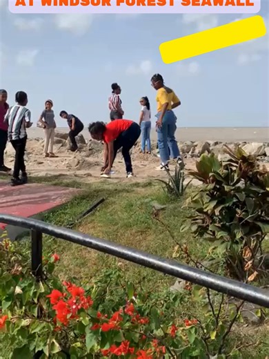 Discover Windsor Forest Seawall Orphanage