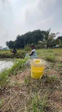 🌀🌀கவின் ஜிலேபி மீன் தூண்டில்…#shorts