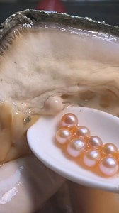 Mini pearl 5-6mm, 2 years grown~❤ #pearl #pearls #pearljewelry #jewelry #pearlnecklace #pearljewelry #diyjewelry #diy | Margaret Jewelry