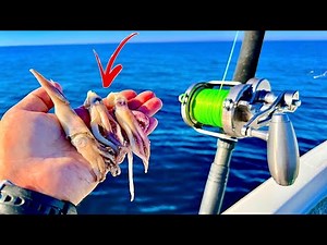 Fishing 55 miles out on a *24ft* Bay Boat for our LUNCH....[Catch, Clean, Cook]