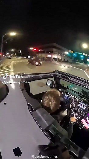 Instant Karma Moments Captured on Dashcam