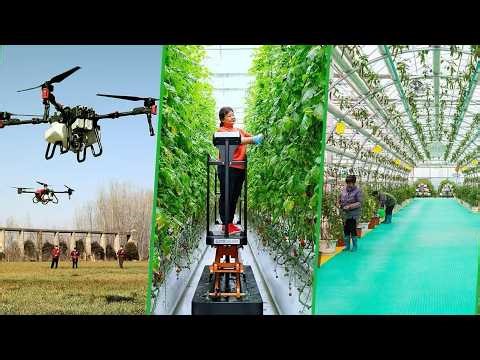 Smart machines power China's spring farming