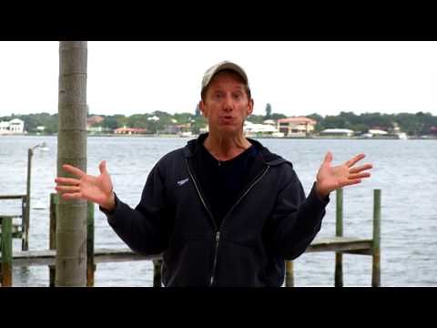 Aqua Free - Arms (Aqua fitness upper body)